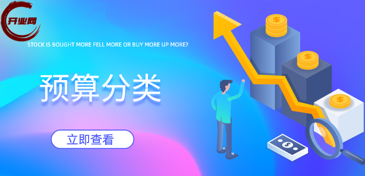 预算分类