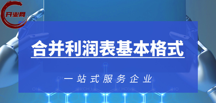 合并利润表基本格式