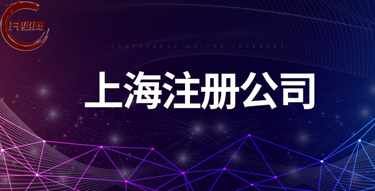 2026上海一人有限公司注册全攻略，单人创业主体